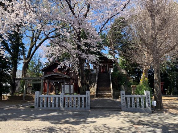 愛宕神社桜